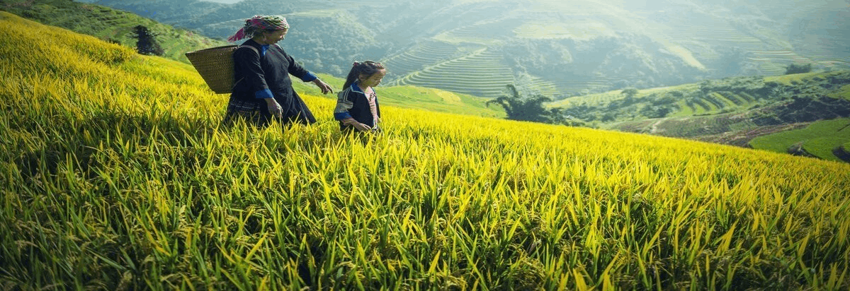 Organic Products for a better world
